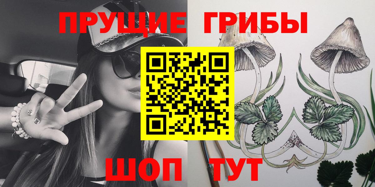Галлюциногенные грибы Psilocybine cubensis  хочу наркоту  Симферополь  Вход с VPN 